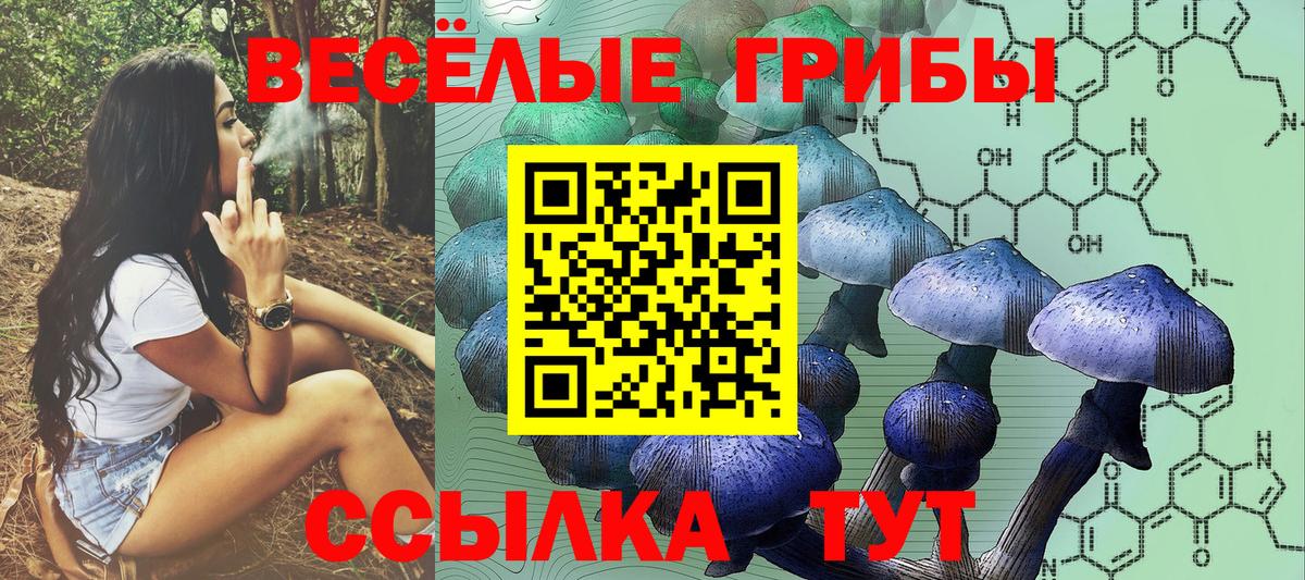 Псилоцибиновые грибы мицелий Обнинск