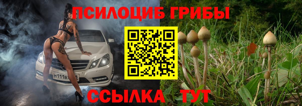 Обнинск  Псилоцибиновые грибы ЛСД  Вход с VPN  Псилоцибиновые грибы Psilocybe 